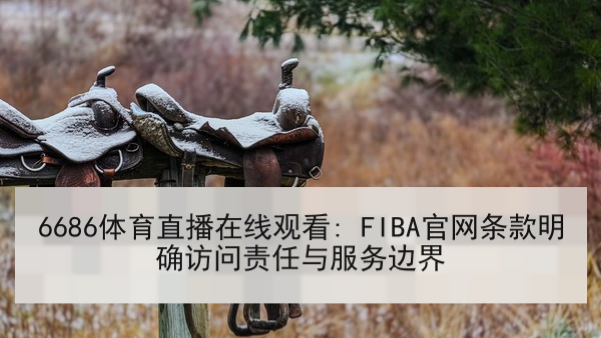 6686体育直播在线观看: FIBA官网条款明确访问责任与服务边界