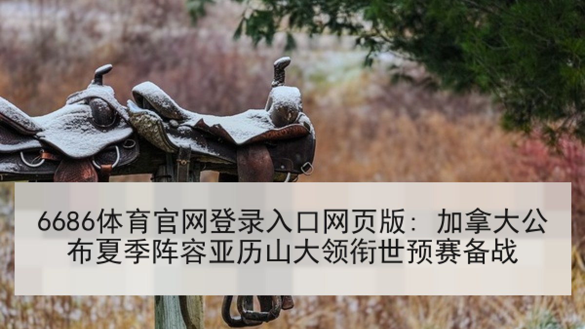 6686体育官网登录入口网页版: 加拿大公布夏季阵容亚历山大领衔世预赛备战 6686体育官网登录入口网页版: 加拿大公布夏季阵容亚历山大领衔世预赛备战