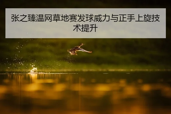 张之臻温网草地赛发球威力与正手上旋技术提升